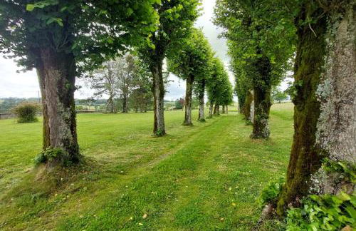 Gîte d'exception avec piscine chauffée pour 12 personnes - Cantal - Photo 22