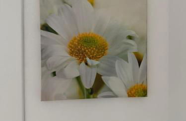 Casa Simonetta - Foto 26