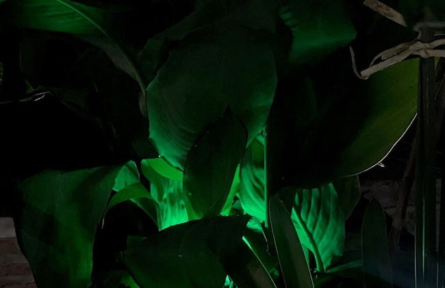 Zeyman's Apartments - Foto 18