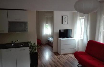 Apartament Lipowa - Foto 14