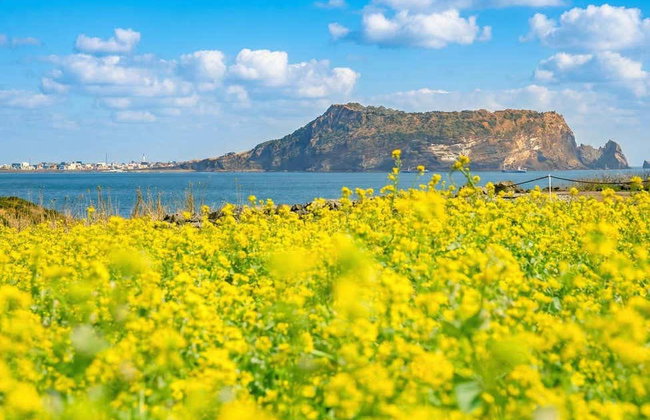 Tour por la isla de Jeju - Foto 7