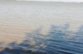 Araruama junto a Lagoa - Centro - Photo 32