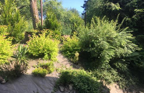 Słoneczny domek - Foto 13