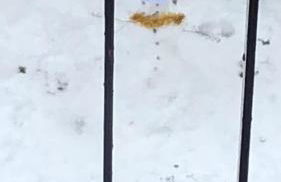 Le Cappellette - Foto 22