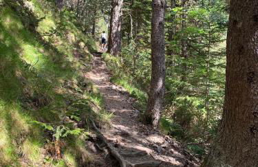 Apartamento 3 habitaciones en Pla de la Ermita - Aut - Foto 18