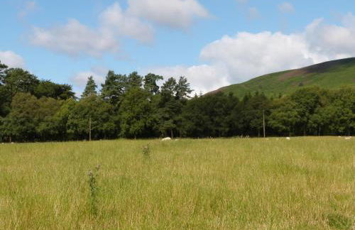 Sunnybrook Cottage - Foto 21