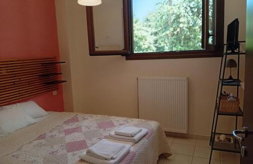 Κατοικία στην Κουτσουπιά - Foto 15