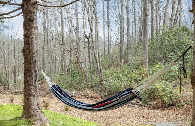 Bears Place by Avantstay Cozy Mountain Cabin in Brevard + Firepit - Foto 12