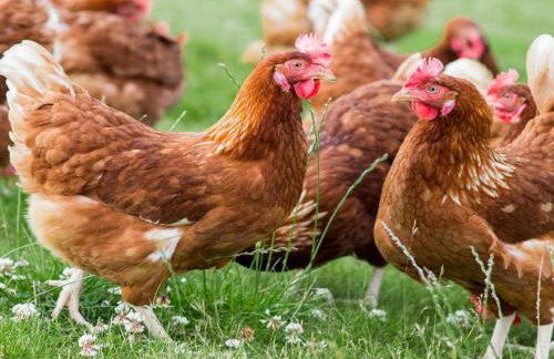 3 Bed in Perth oc-86058 - Foto 19