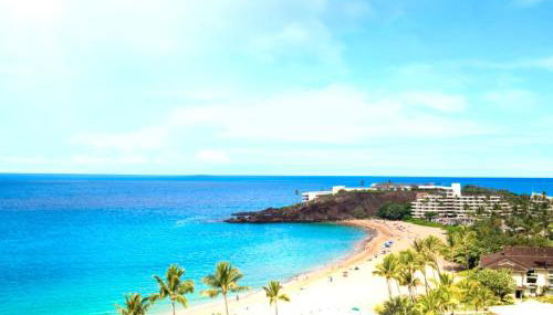 The Whaler, Studio with Stunning Ocean Views! Complimentary Rental Car Included! WH1-1218 by KBM - Foto 5