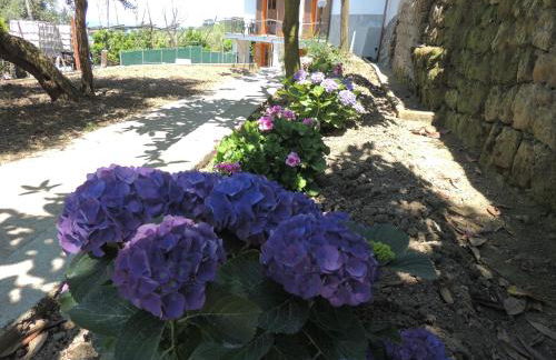 Johanna’s house - Foto 46