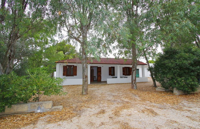 Tenuta la Saracina - Foto 78