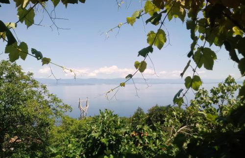 Apartments Blue & Green - Foto 10