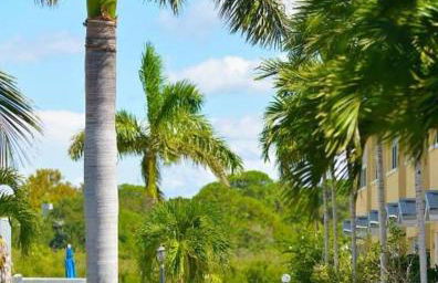 Beach Condo - Photo 53