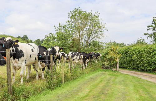 Oast Cottage - Foto 45