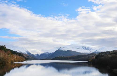 Bay Tree Cottage - Photo 18