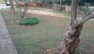 Apartman Krčina - Foto 4