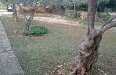 Apartman Krčina - Foto 4