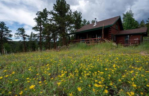 Warm Woodland Getaway with Land - Foto 8