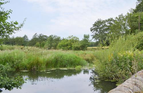 The Mill Cottage - Foto 25