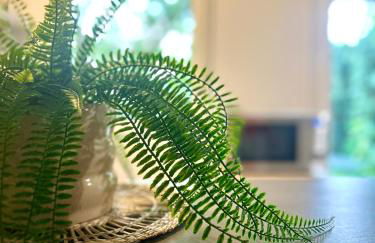 Le petit Apollon - T2 Climatisé - Photo 20