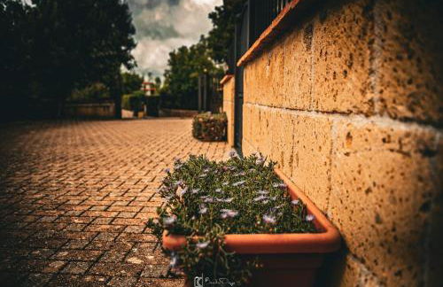 Alloggio turistico di Bandini Diego Hunter's House - Foto 37