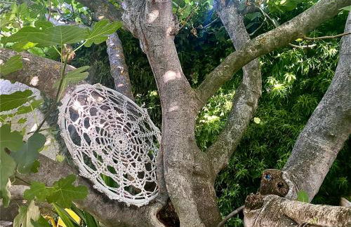 Casa Jardín El Arco - Foto 12