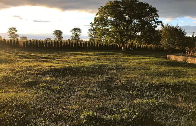 Spacious Holiday Home in Wolin With Garden - Photo 17