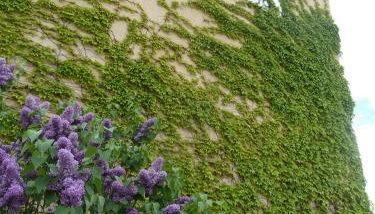 Apartamentos Casa Modesto - Foto 3