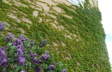 Apartamentos Casa Modesto - Foto 3