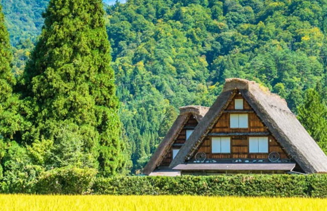 Takayama & Shirakawago Day Trip - Photo 1