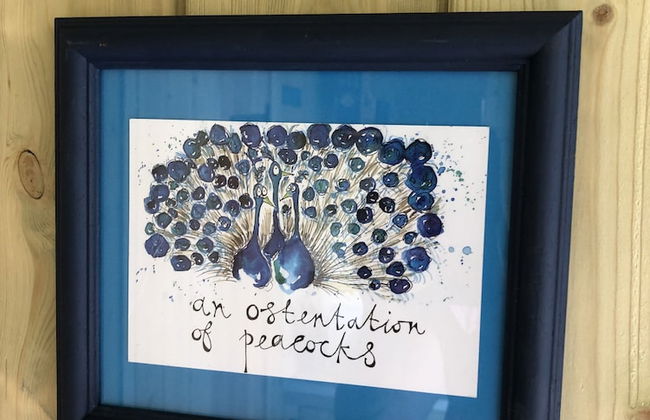 The Peacock Shepherds Hut at Hafoty Boeth - Foto 15