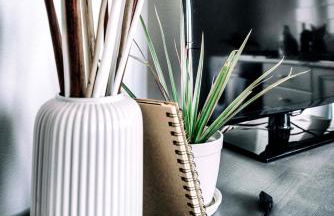 Tosca's House - Foto 42