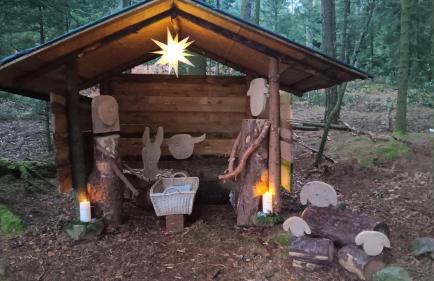 Waldfrieder Ferienwohnungen - Foto 11