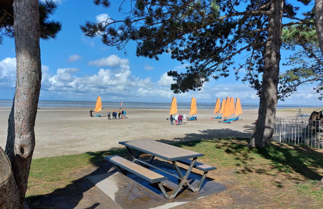 Les yeux dans la baie - Foto 21