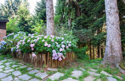 Milano Country Club - Villa with private pool and garden - Foto 48