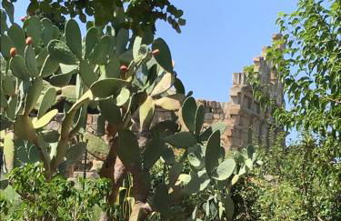 L'Ulivo in Villa Greco - Foto 44