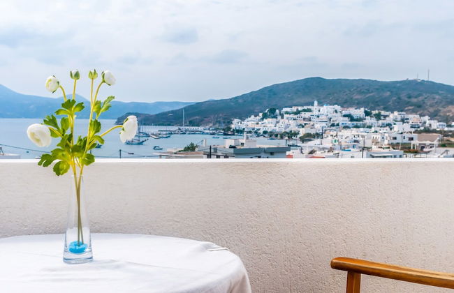 Ippocampos - Foto 60