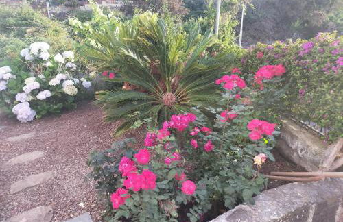 El Lagar de Piedra - Foto 18