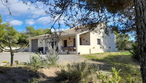 La Ruella - Foto 1, Garden