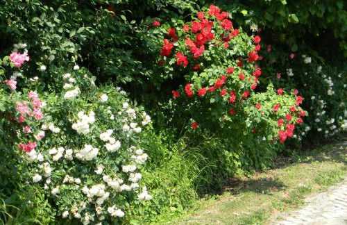 Residenza Cà d´Masseu - Foto 18