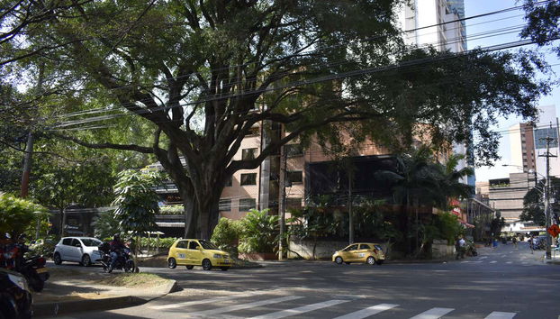 Una delle pittoresche strade di Los Laureles