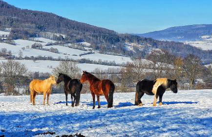Ferienwohnung am Felsenkeller - Photo 21