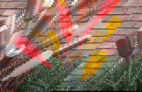 Wilger Guesthouse - Foto 53