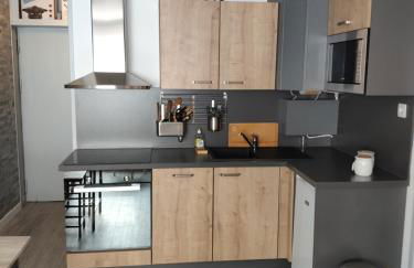 l'Armazan - studio pieds de piste Plat d'Adet - Photo 15