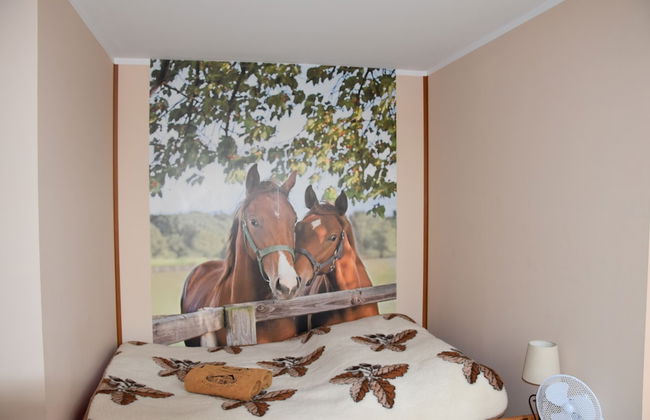 Agroturystyka u przyjaciol Soni - Foto 7