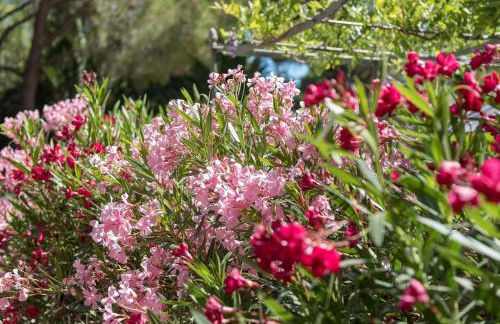 Les Maisons Du Sud - Foto 27