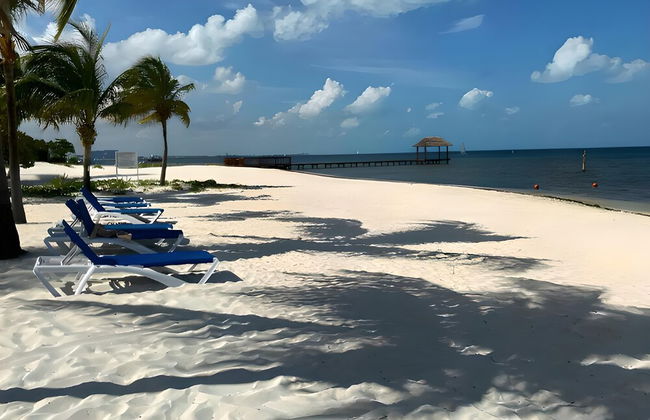 Beachfront and Ocean View Apartment - Photo 29