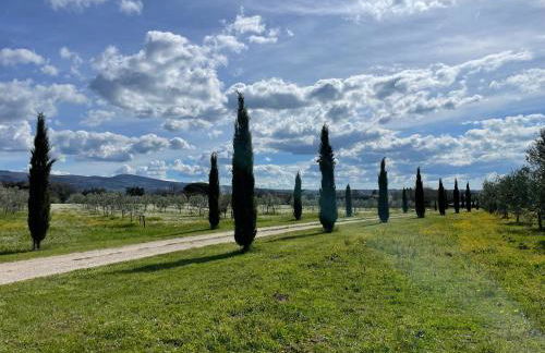 Podere Dell'Arco Country Charme - Foto 8