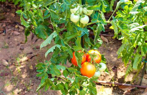 Azalea Villa Sani with Outdoor Hot Tub, Sani Luxury Villas Collection - Foto 27